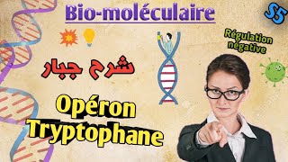 Biologie moléculaire en Arabe Opéron tryptophane en Arabe SVI S5 [upl. by Arua]