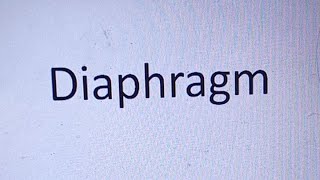 HDF is live Diaphragm Anatomy [upl. by Ettelrats]