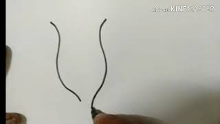 How to draw vorticella step by step [upl. by Anelem]