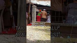 tak perlu malu² apalagi gengsi² [upl. by Kempe]