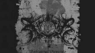 Xasthur  Arcane And Misanthropic Projection [upl. by Zins]