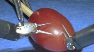 da Vinci Surgical System Surgery on a grape [upl. by Fabyola]