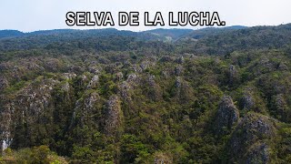 El increíble SOTANO de la LUCHA CHIAPAS  EXPLORACION en selva [upl. by Leno855]