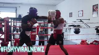 Gervonta Davis vs Montana Love  LEAKED HEATED SPARRING [upl. by Sokin434]