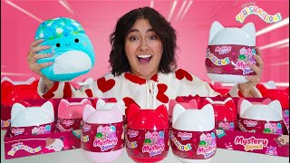 UNBOXING 15 MYSTERY VALENTINES SQUISHMALLOWS [upl. by Frederik]