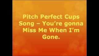 The Cup Song  Pitch Perfect WITH LYRICS [upl. by Hound804]