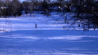 Testing out the Zipfy Freestyle Mini Luge  Hub Hobby [upl. by Christabelle267]