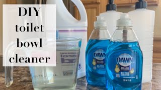 DIY Toilet Bowl Cleaner [upl. by Earleen]