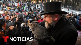 La marmota Phil hace su predicción sobre cuánto durará el invierno [upl. by Rhea]