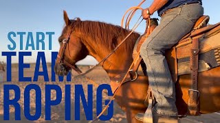 CHEAPEST way to Start Team Roping [upl. by Anica]