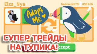 Что Дают за PUFFIN ПУФФИНА ТУПИКА в Адопт миTrading Puffin Adopt me Roblox 2021 [upl. by Curr]