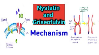 Nystatin and Griseofulvin Mechanism of action [upl. by Akimal]