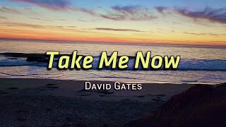 Take Me Now  KARAOKE VERSION  in the style of David Gates [upl. by Orin89]