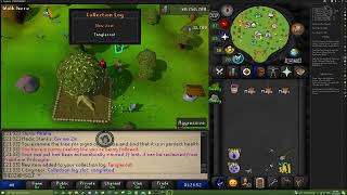 OSRS 84 Farming Tangleroot Pet [upl. by Blisse]