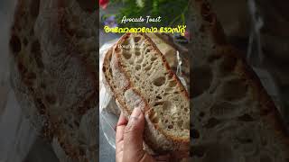 3 നേരം കഴിച്ചാലും സൂപ്പർ അവോക്കാഡോ ടോസ്റ്റ്  Avocado Toast Recipe  Weightloss Breakfast Recipes [upl. by Eelsha]