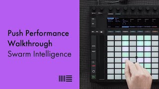 Swarm Intelligence Push 2 Performance Walkthrough [upl. by Leamsi897]