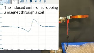 Induced emf from dropping a magnetic through a coil [upl. by Yarg]