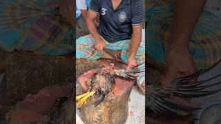 Amazing Special Desi Chicken Cutting Skills In Bangladesh Chicken Market 😱 shorts [upl. by Irehc]