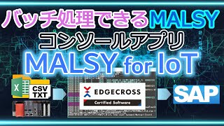 【MALSY for IoT】SAPへの一括データ登録をノーコードで！FAデバイスとの連携も [upl. by Cassondra]