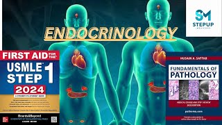 3Endocrine  Growth Hormone Physiology  First Aid USMLE Step 1  Urdu  Hindi [upl. by Anoyk458]