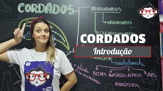 Cordados  Introdução 🐵📚 [upl. by Elidad]