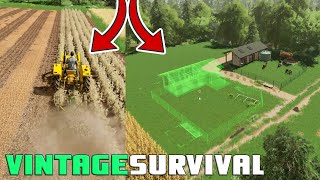 NEW LUXURY YARD FOR THE HORSES LIFTING POTATOES  Vintage Survival  Episode 44 [upl. by Meggy268]