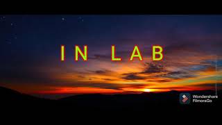 Inlab  tropavibes lyrics vid [upl. by Aracahs]