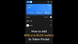 How to Add bnb and busd wallet to Token Pocket [upl. by Edra852]