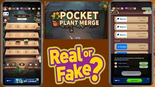 Pocket Plant Merge Legit Ba  Pocket Plant Merge Paga  Pocket Plant Merge Real Or Fake [upl. by Nob852]