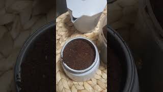 How to make Espresso MoKa Pot [upl. by Tidwell]