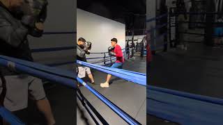 Middleweight vs heavyweight hard sparring [upl. by Tnerual]