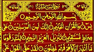 Surah Yaseen Surah Rahman Beautiful Tilawat  Ep 66  Yaseen Shareef  Emotional Quran Tilawat [upl. by Amadas]