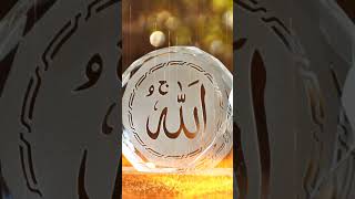 Hasbi Rabbi Jallallah viralvideo viralreels [upl. by Leavy]