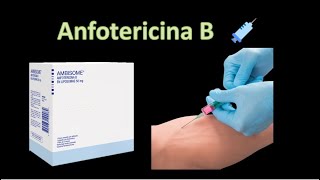 💊 Anfotericina B  Polienos  Antifungicos  Farmacología [upl. by Dira]