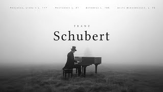 Best of Schubert  Classical Music Gems [upl. by Acenes19]