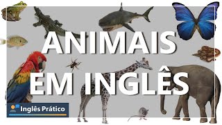 Animais em inglês  Nome dos bichos em inglês [upl. by Nilram5]