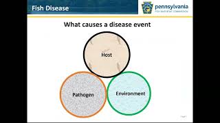 Fish Health and Causes of Disease Part 1 Host [upl. by Blondie]