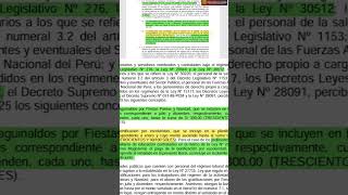 Minedu propone gratificación para la el 2025 [upl. by Christen918]