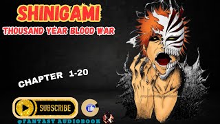 Chapter 120  Shinigami Thousand Year Blood War [upl. by Dolley73]