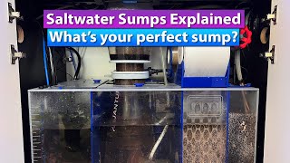 Saltwater Aquarium Sump explained  Whats your perfect sump [upl. by Enrol]