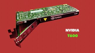 NVIDIA T600  Unboxing Quick TEST Davinci Resolve amp CB15 OPENGL [upl. by Odnaloy18]