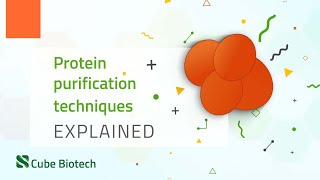 Protein Purification [upl. by Corel]