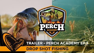 TRAILER Perch Academy Episode 3  Dropshot fishing [upl. by Seana332]