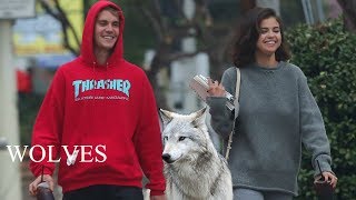 Selena Gomez  Wolves Manip music video feat Justin Bieber [upl. by Maison342]