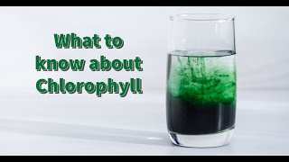 Chlorophyll What is it Is it Good For Your Health [upl. by Ettennahs40]