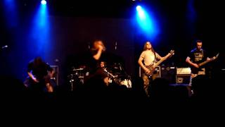 Nephalokia  Sunshine live au Rio Grande  15072010 [upl. by Ehcadroj]