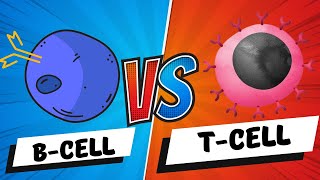 B Cells vs T Cells  B Lymphocytes vs T Lymphocytes  Adaptive Immunity  Mechanism [upl. by Yendahc]