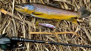 Brown Trout with swimbaits [upl. by Swane]