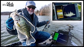 How to Catch Crappies on Brush Piles with Jigs and Plastics [upl. by Netnilc294]