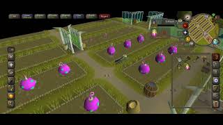 One uneventful run of tithe farm OSRS [upl. by Nipsirc]